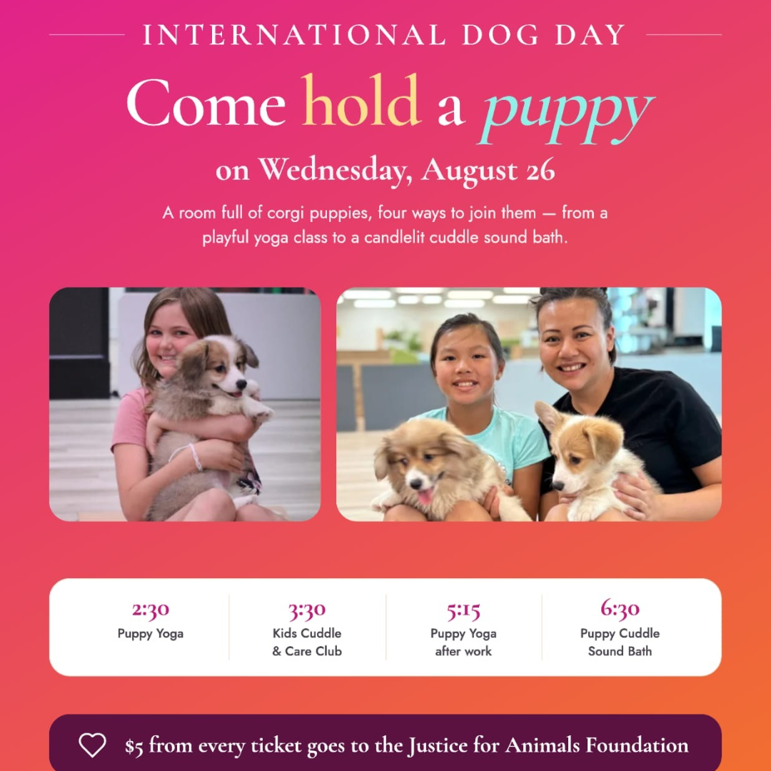 Puppy Yoga International Dog Day 🐾