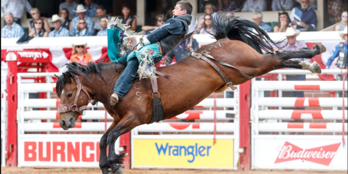 Rodeo Demo | Showpass