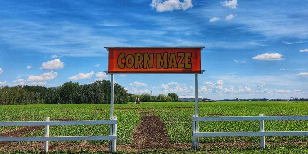 Edmonton Corn Maze Showpass