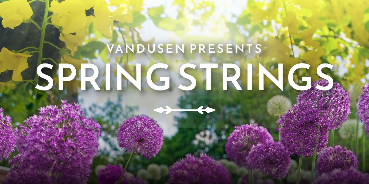 VanDusen Garden Spring Strings | Showpass